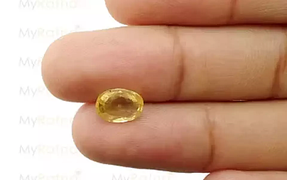 Ceylon Yellow Sapphire - 2.63 Carat Limited Quality CYS-3458 