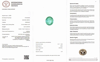 certificate_imageEMD10313-42126.jpg