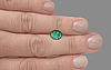 Zambian Emerald - 2.63 Carat Limited Quality EMD-9208