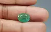 Zambian Emerald - 4.81 Carat Prime Quality  EMD-9902