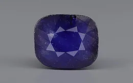 Thailand Blue Sapphire - 9.12 Carat Limited Quality GFBS-20203