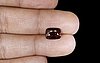 Ceylon Hessonite Garnet - 3.02 Carat Rare Quality HG-8113