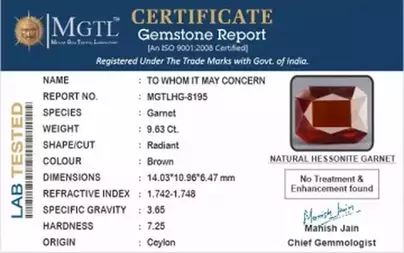 Ceylon Hessonite Garnet  9.63 Carat Rare-Quality  HG-8195