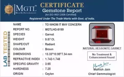 Ceylon Hessonite Garnet  9.87 Carat Rare-Quality  HG-8199