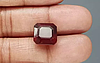 African Hessonite Garnet  11.09 Carat Prime Quality  HG-8214