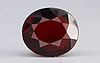 Ceylon Hessonite Garnet  7.51 Carat Limited Quality HG-8254