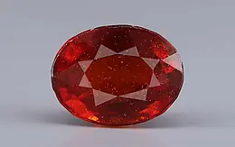 Ceylon Hessonite Garnet -  6.91 Carat Rare Quality HG-8464