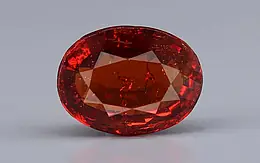 Ceylon Hessonite Garnet - 7.33 Carat Prime Quality HG-8475