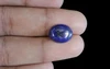 Lapis Lazuli - LL 15519 (Origin-Afghanistan) Prime - Quality