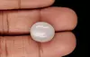 Russian Moonstone - 13.14 Carat Prime Quality MS-19048