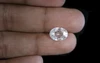 White Zircon - NZ 17043 (Origin - Ceylon) Limited - Quality 