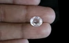 White Zircon - NZ 17045 (Origin - Ceylon) Limited - Quality 