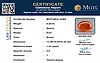 certificate_imageMGTLQCA-16462-2632.png