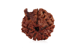 Natural Nepali Ganesha Rudraksha