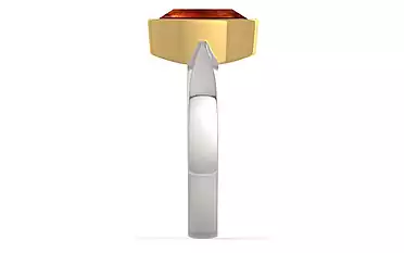 GoldCollet Hessonite Garnet Ring Limited Quality (R9)