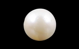 Pearl - SSP 8502 (Origin - South Sea) Prime - Quality