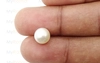 Pearl - SSP 8516 (Origin - South Sea) Prime - Quality