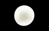 Pearl - SSP 8516 (Origin - South Sea) Prime - Quality