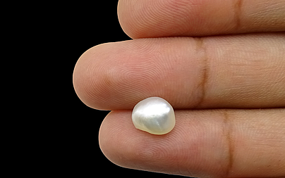 Keshi Pearl - 3.21 Carat Fine Quality SSP-8528