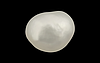 Keshi Pearl - 3.21 Carat Fine Quality SSP-8528