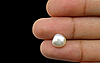 Keshi Pearl - 3.70 Carat Prime Quality SSP-8529