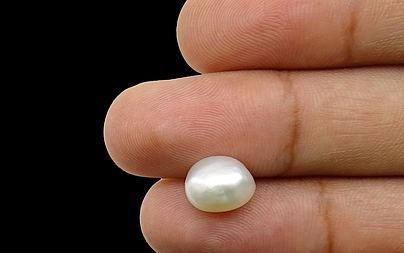 Pearl - SSP 8533 (Origin - Keshi) Prime - Quality