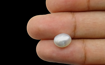 Keshi Pearl - 3.61 Carat Limited Quality SSP-8534