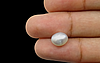 Keshi Pearl - 3.61 Carat Limited Quality SSP-8534