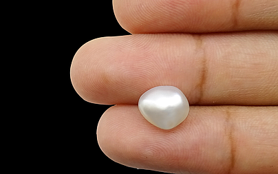 Keshi Pearl - 4.63 Carat Prime Quality SSP-8538