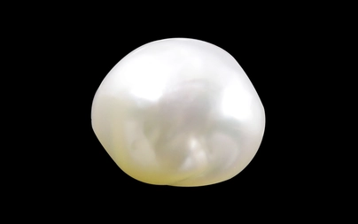 Pearl - SSP 8548 (Origin - Keshi) Limited - Quality