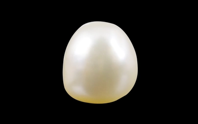 Pearl - SSP 8552 (Origin - Venezuela) Limited - Quality