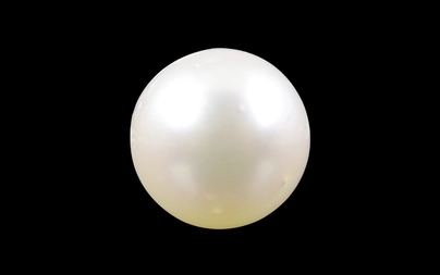 Pearl - SSP 8558 (Origin - South Sea) Prime - Quality