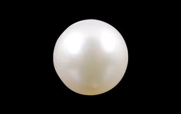 Pearl - SSP 8561 (Origin - South Sea) Prime - Quality