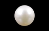 Pearl - SSP 8561 (Origin - South Sea) Prime - Quality