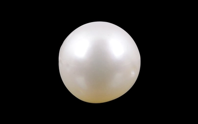 Pearl - SSP 8566 (Origin - South Sea) Prime - Quality