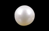 Pearl - SSP 8566 (Origin - South Sea) Prime - Quality