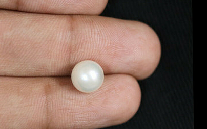 Pearl - SSP 8578 (Origin - South Sea) Fine - Quality