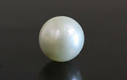 Pearl - SSP 8578 (Origin - South Sea) Fine - Quality