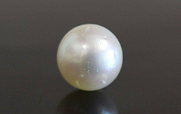 Pearl - SSP 8579 (Origin - South Sea) Fine - Quality