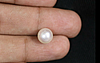 Pearl - SSP 8579 (Origin - South Sea) Fine - Quality