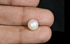 Pearl - SSP 8585 (Origin - South Sea) Fine - Quality