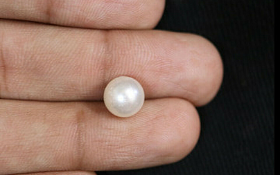 Pearl - SSP 8587 (Origin - South Sea) Fine - Quality