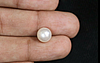 Pearl - SSP 8587 (Origin - South Sea) Fine - Quality