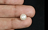 Pearl - SSP 8589 (Origin - South Sea) Fine - Quality