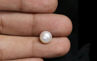 Pearl - SSP 8591 (Origin - South Sea) Fine - Quality