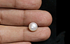 Pearl - SSP 8591 (Origin - South Sea) Fine - Quality