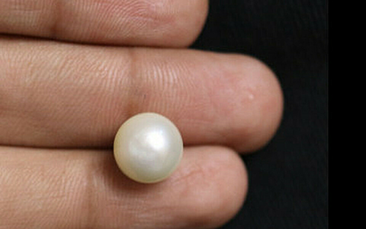 Pearl - SSP 8592 (Origin - South Sea) Fine - Quality