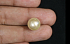 Pearl - SSP 8597 (Origin - South Sea) Fine - Quality