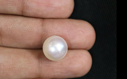 Pearl - SSP 8599 (Origin - South Sea) Prime - Quality