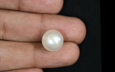 Pearl - SSP 8600 (Origin - South Sea) Prime - Quality